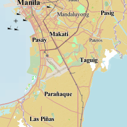 Taguig Map Via Satellite Namria | The Central Mapping Agency Of The Government Of The Philippines